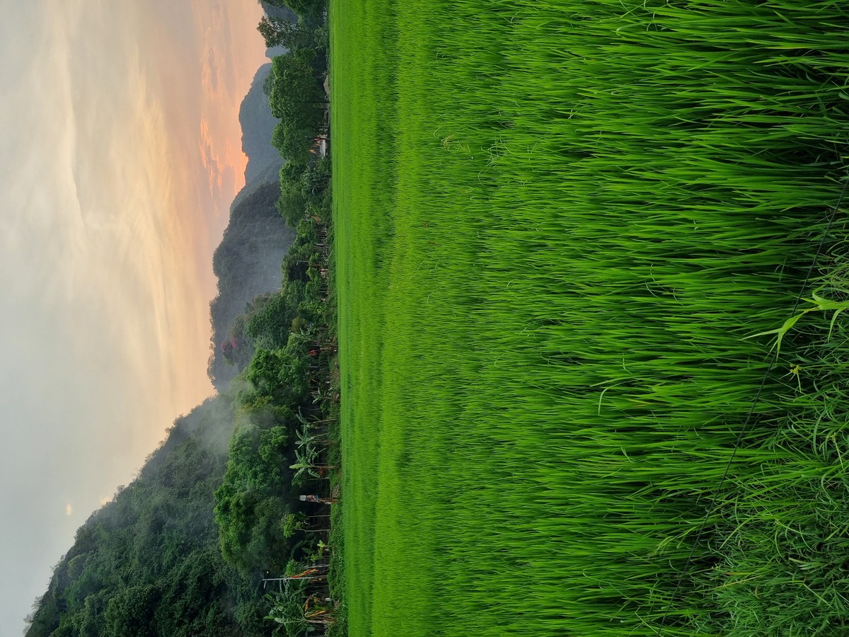 Dijana Hudournik: Vietnam - dežela nasmehov in riževih polj