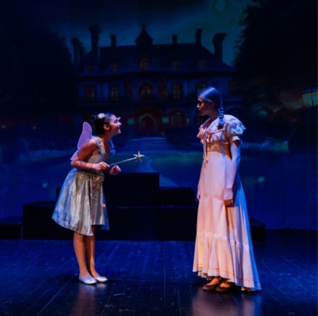 Pepelka, otroška predstava