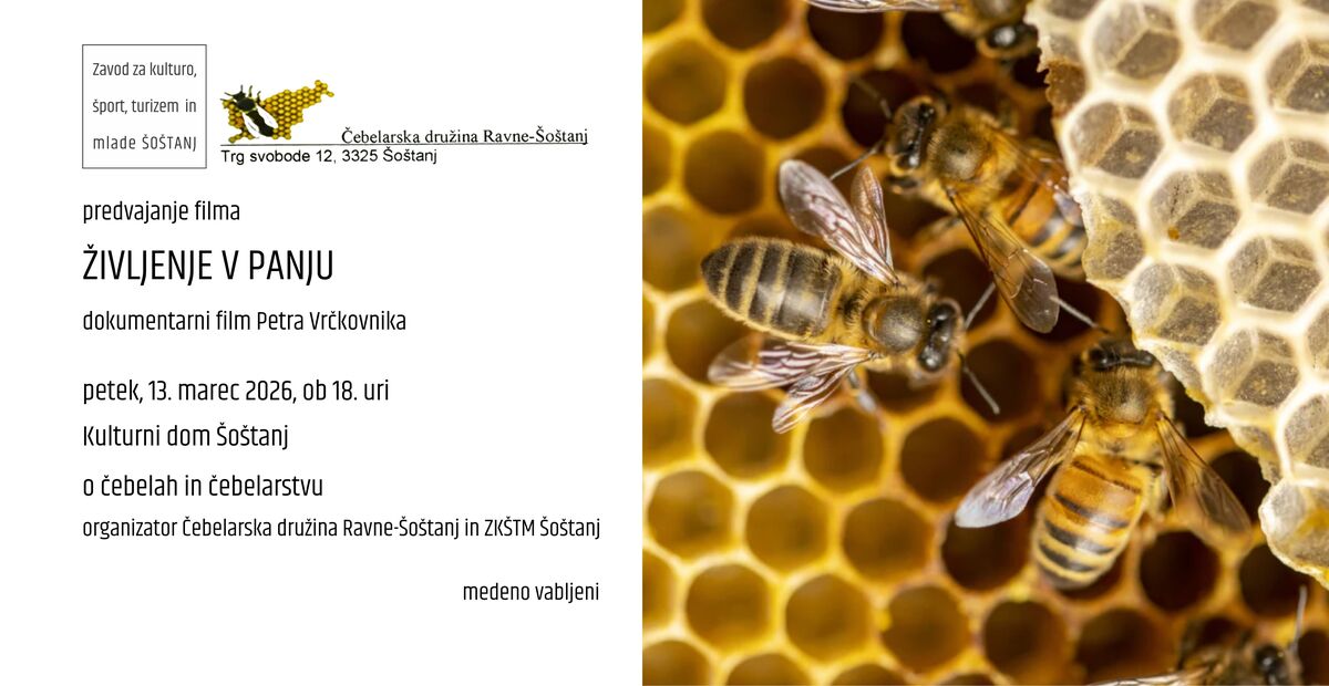 ŽIVLJENJE V PANJU, dokumentarni film Petra Vrčkovnika